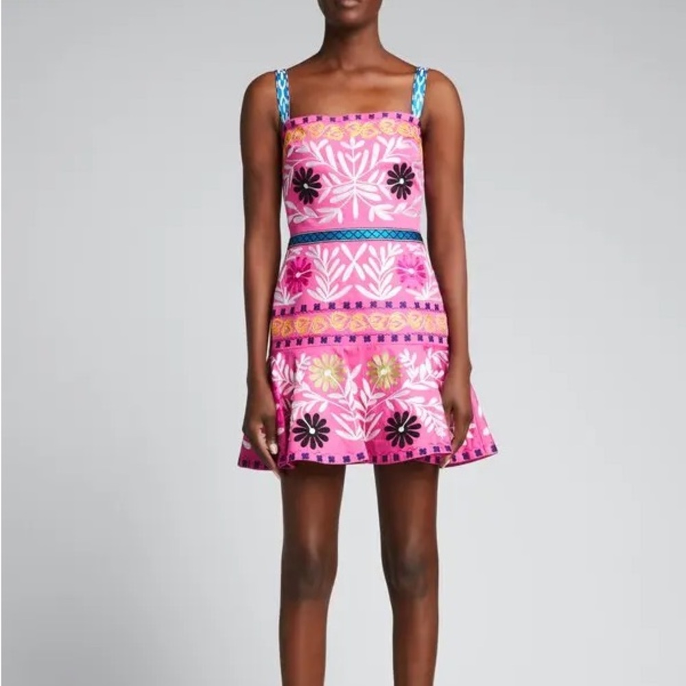 Alexis embroidered mini dress